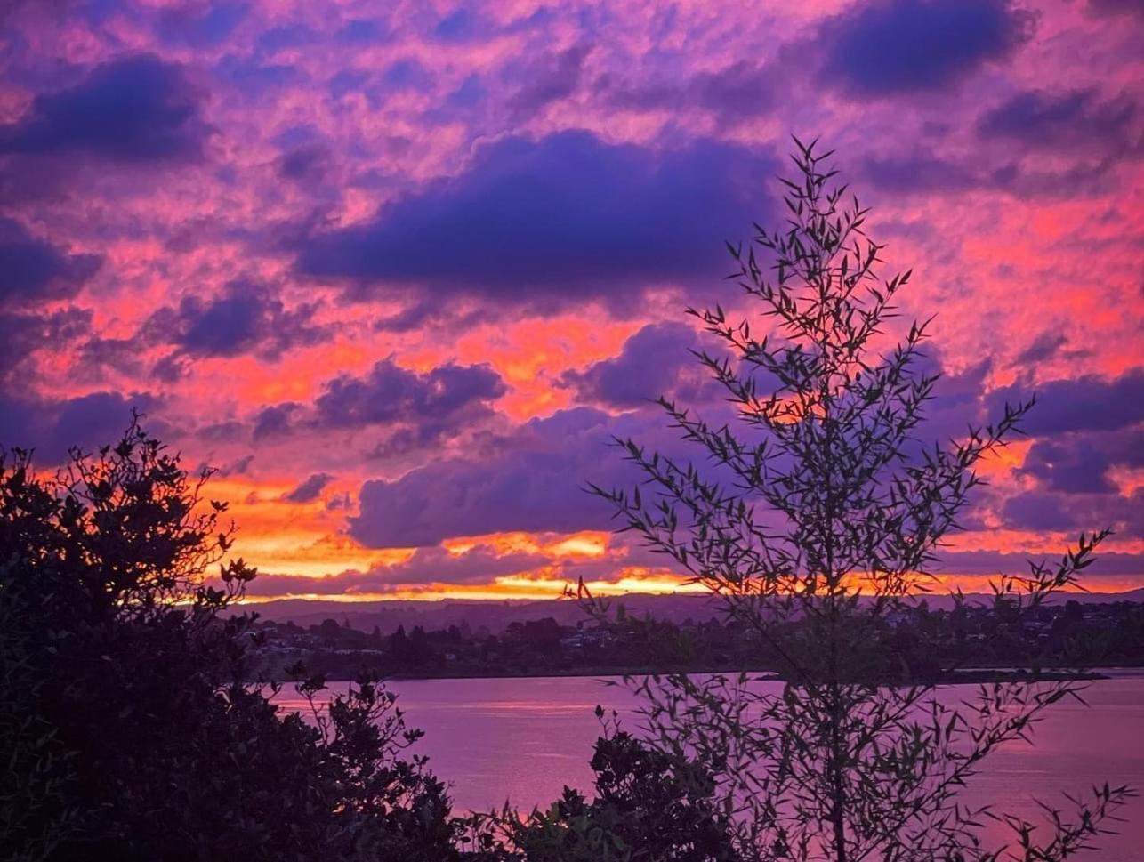 Wharf Retreat Unit 2 Daire Tauranga Dış mekan fotoğraf